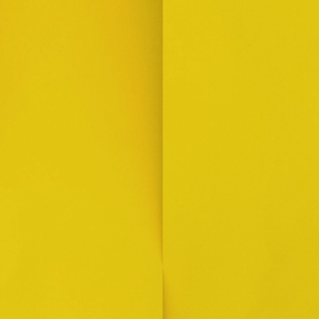 Sander Martijn Jonker, 2010, virtueel relief, T102, 21 x 30 cm